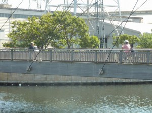 （写真）橋の上を２台のタンデム自転車が走っています。それぞれ、お母さんとお父さんが前で、後ろに子どもが乗っています