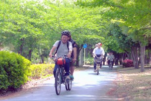 （写真）緑陰道路でタンデム自転車の乗っているところ